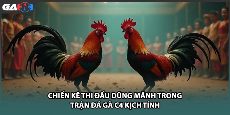 Chiến kê thi đấu dũng mãnh trong trận đá gà c4 kịch tính tại GA888
