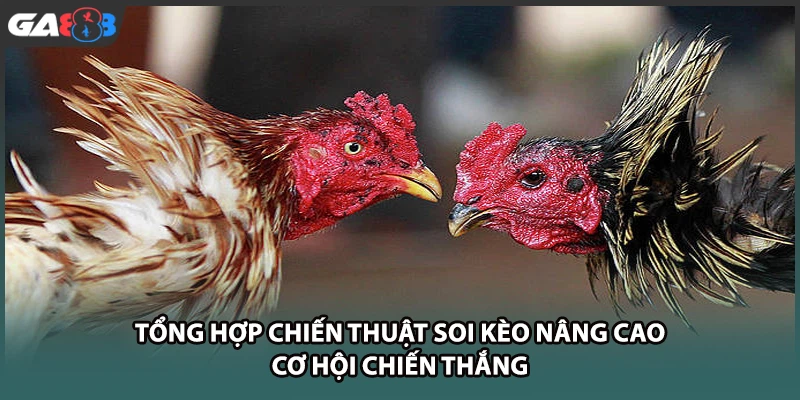 Tổng hợp chiến thuật soi kèo nâng cao cơ hội chiến thắng tại nhà cái GA888